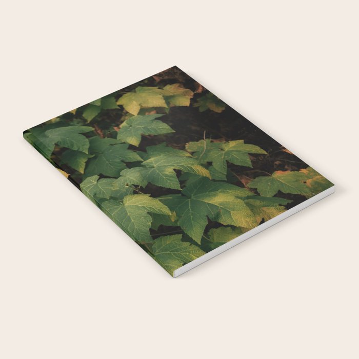 Early Foliage Notebook Gallery Image 1