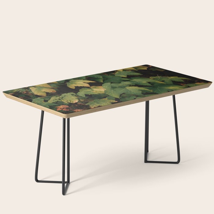 Early Foliage Coffee Table Gallery Image 1