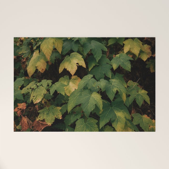 Early Foliage Welcome Mat Gallery Image 1