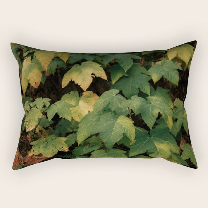 Early Foliage Rectangular Pillow Gallery Image 2