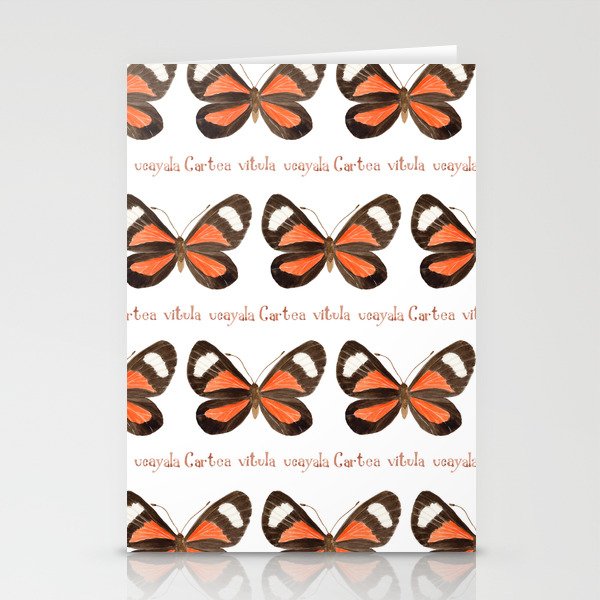 Butterfly - Cartea vitula ucayala Stationery Card Gallery Image 2