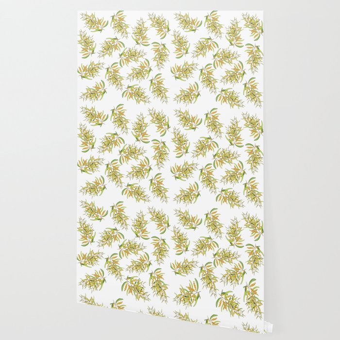 Australian Wattle Flower, Illustration Wallpaper Gallery Image 2