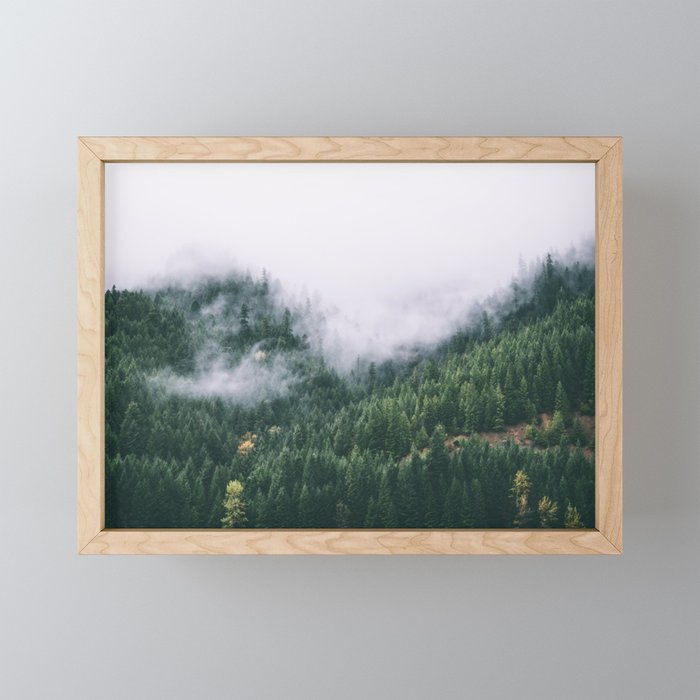 Forest Fog VIII Mini Art Print Gallery Image 1