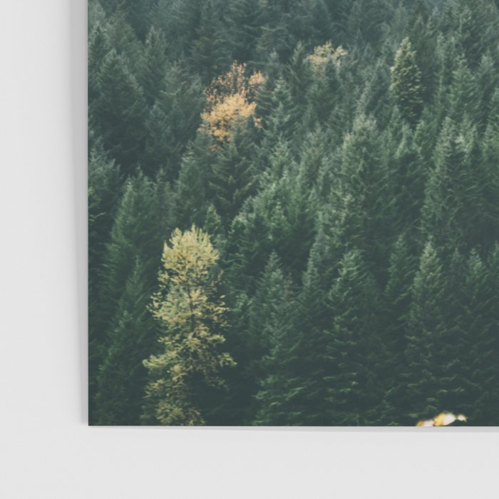 Forest Fog VIII Poster Gallery Image 3