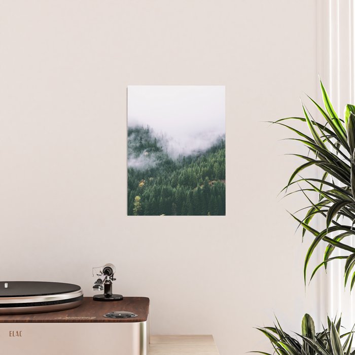 Forest Fog VIII Poster Gallery Image 2