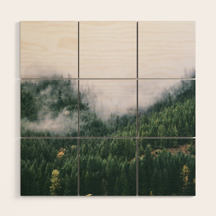 Forest Fog VIII Wood Wall Art
