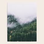 Forest Fog VIII Poster Gallery Image 4