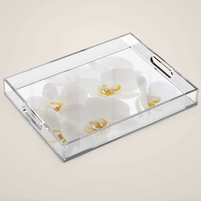 Pure Acrylic Tray Gallery Image 1