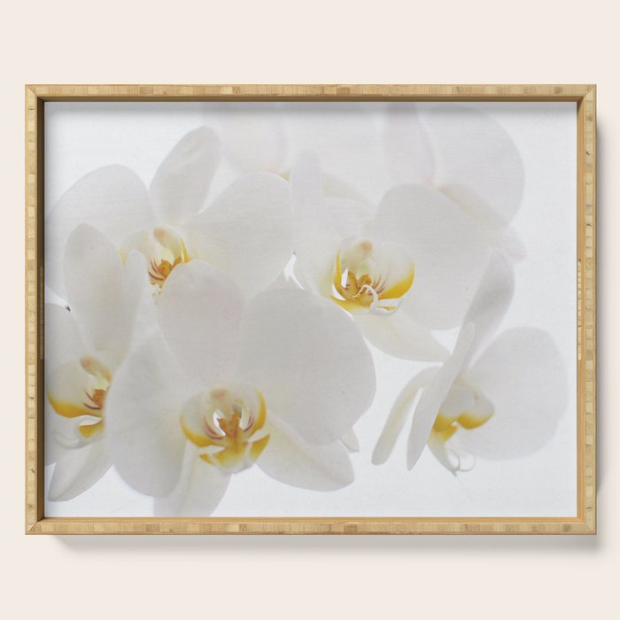 Pure Serving Tray Gallery Image 1