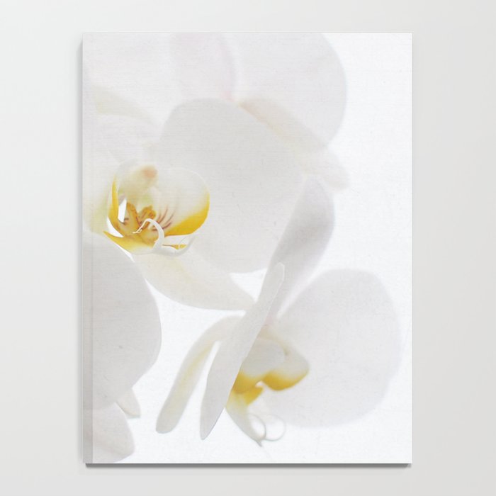 Pure Notebook Gallery Image 4