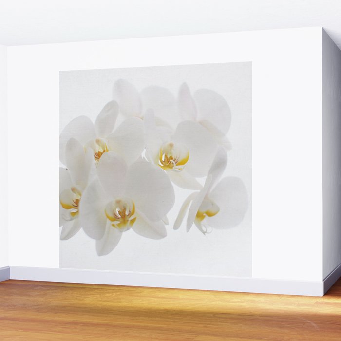 Pure Wall Mural Gallery Image 2