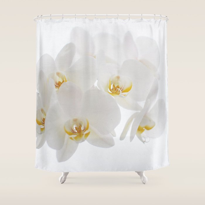 Pure Shower Curtain Gallery Image 1