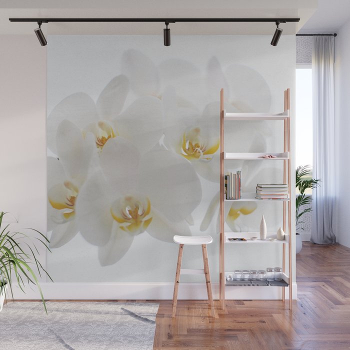 Pure Wall Mural Gallery Image 1