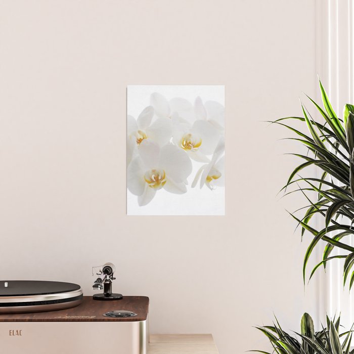 Pure Poster Gallery Image 2