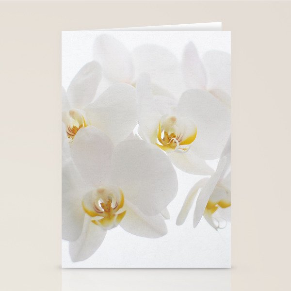 Pure Stationery Card Gallery Image 2