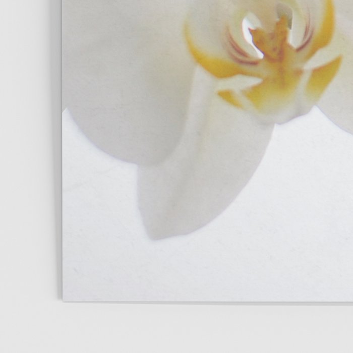 Pure Poster Gallery Image 3