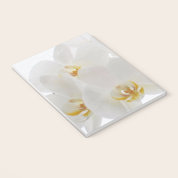 Pure Notebook Gallery Image 3