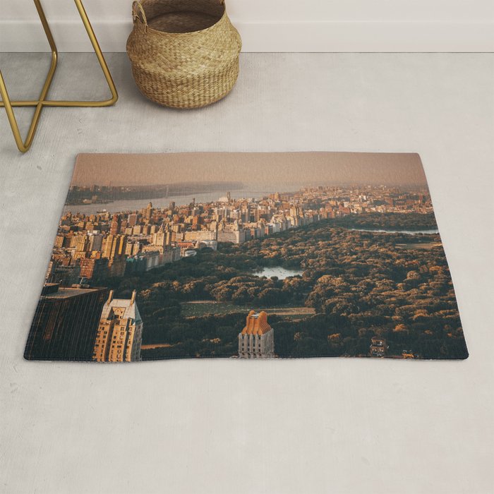 New York City Central Park Rug Gallery Image 1