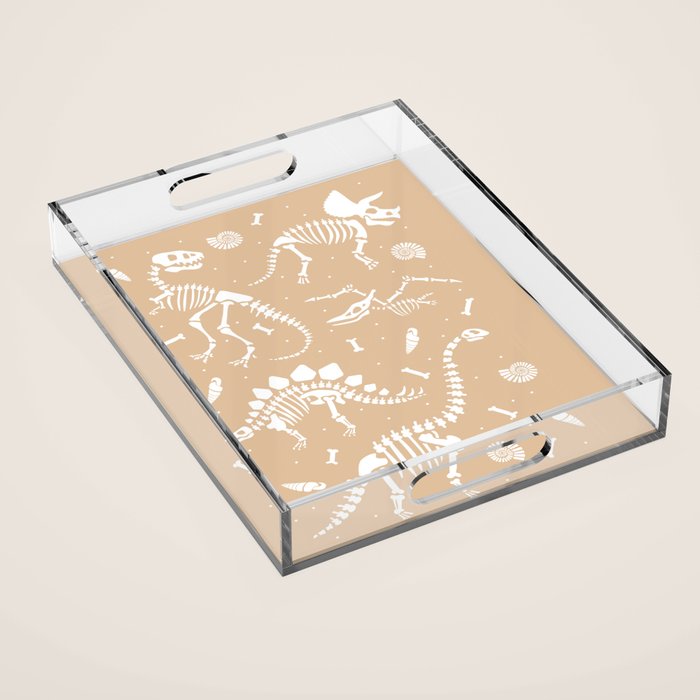 Dinosaur Fossils on Taupe Acrylic Tray Gallery Image 1