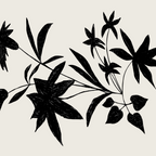 Fireworks Flowers  Coffee Mug Gallery Image 2