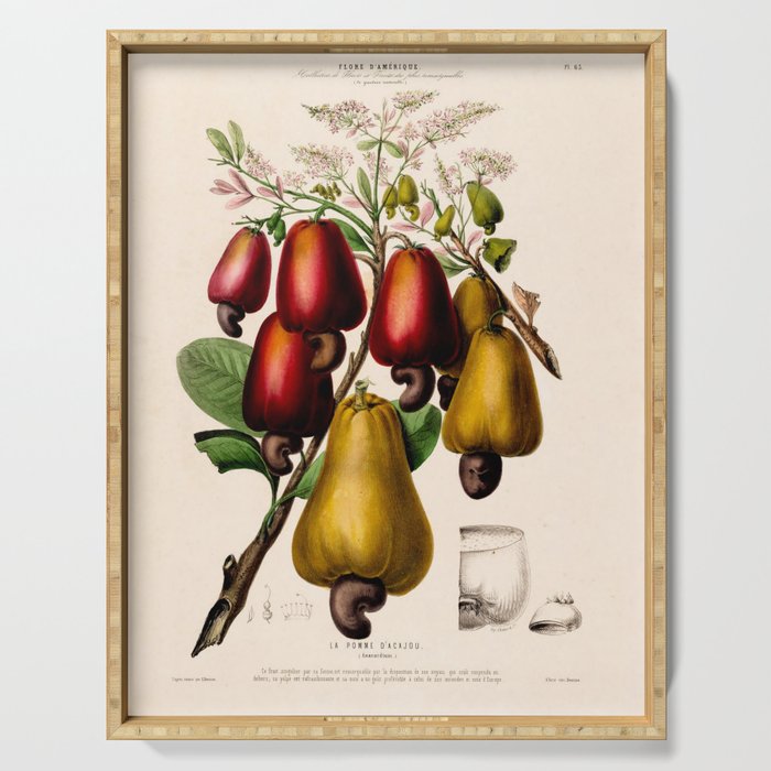 Cashew from "Flore dâAmÃ©rique" by Ãtienne Denisse, 1840s Serving Tray Gallery Image 1