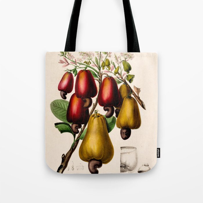 Cashew from "Flore dâAmÃ©rique" by Ãtienne Denisse, 1840s Tote Bag Gallery Image 1