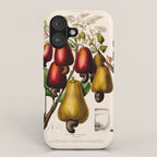 Cashew from "Flore dâAmÃ©rique" by Ãtienne Denisse, 1840s iPhone Case Gallery Image 1