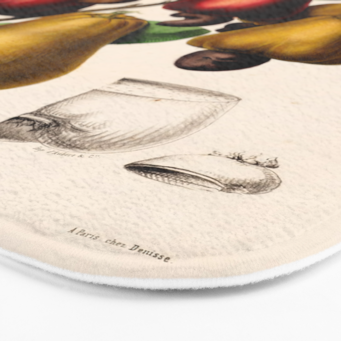 Cashew from "Flore dâAmÃ©rique" by Ãtienne Denisse, 1840s Bath Mat Gallery Image 3