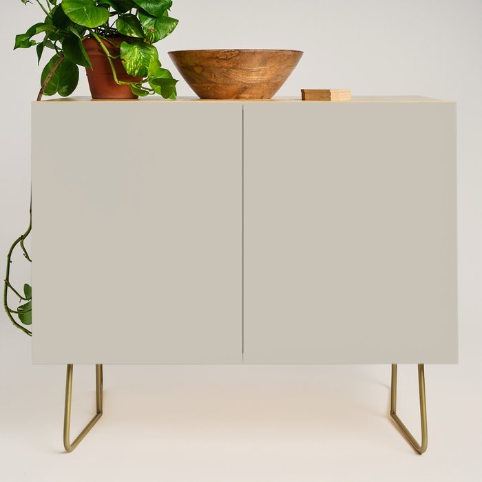 Agreeable Gray light neutral solid color  Credenza Gallery Image 1