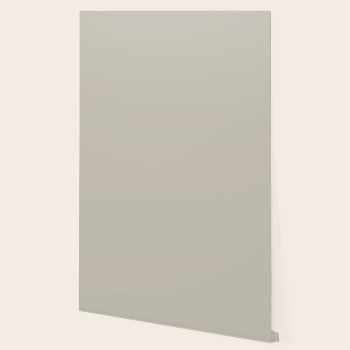Agreeable Gray light neutral solid color  Wallpaper Gallery Image 2