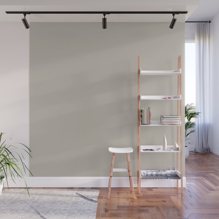 Agreeable Gray light neutral solid color  Wall Mural Gallery Image 1