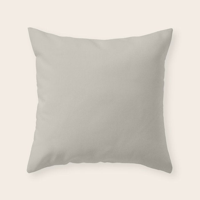 Agreeable Gray light neutral solid color  Throw Pillow Gallery Image 6