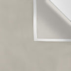 Agreeable Gray light neutral solid color  Wall Tapestry Gallery Image 3
