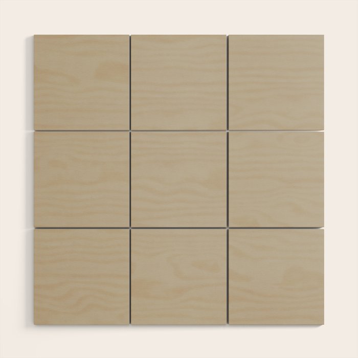 Agreeable Gray light neutral solid color  Wood Wall Art Gallery Image 1