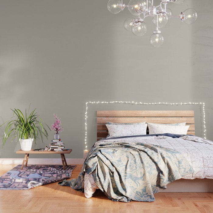 Agreeable Gray light neutral solid color  Wallpaper Gallery Image 1