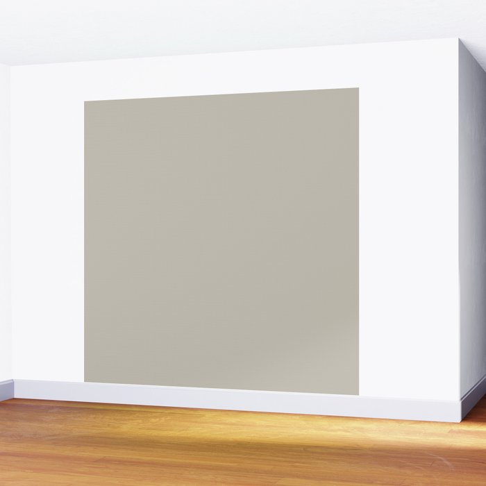 Agreeable Gray light neutral solid color  Wall Mural Gallery Image 2