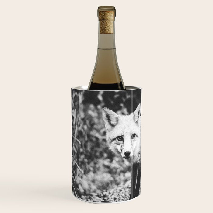CURIOUS FOX III Wine Chiller Gallery Image 2