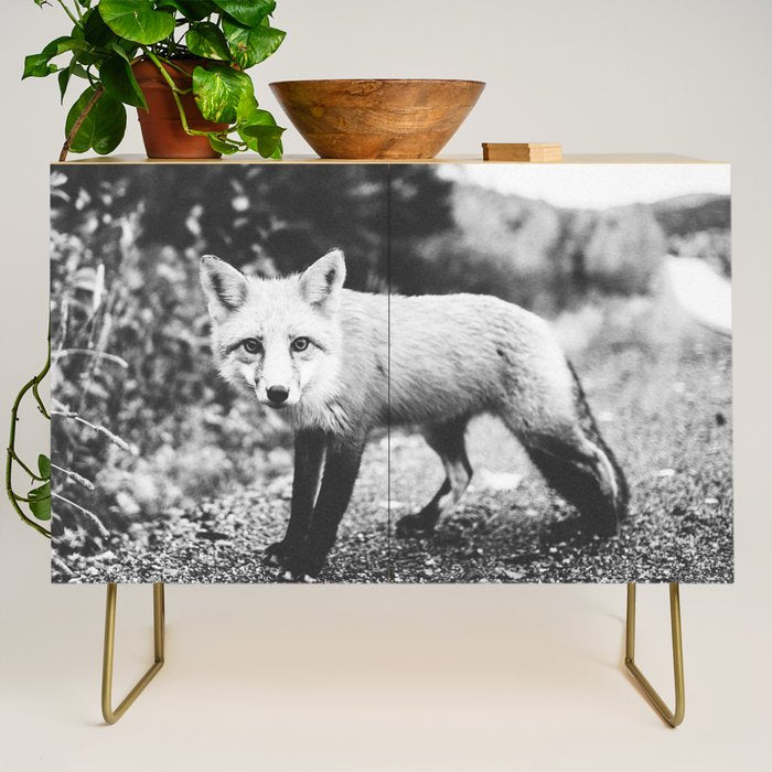 CURIOUS FOX III Credenza Gallery Image 1