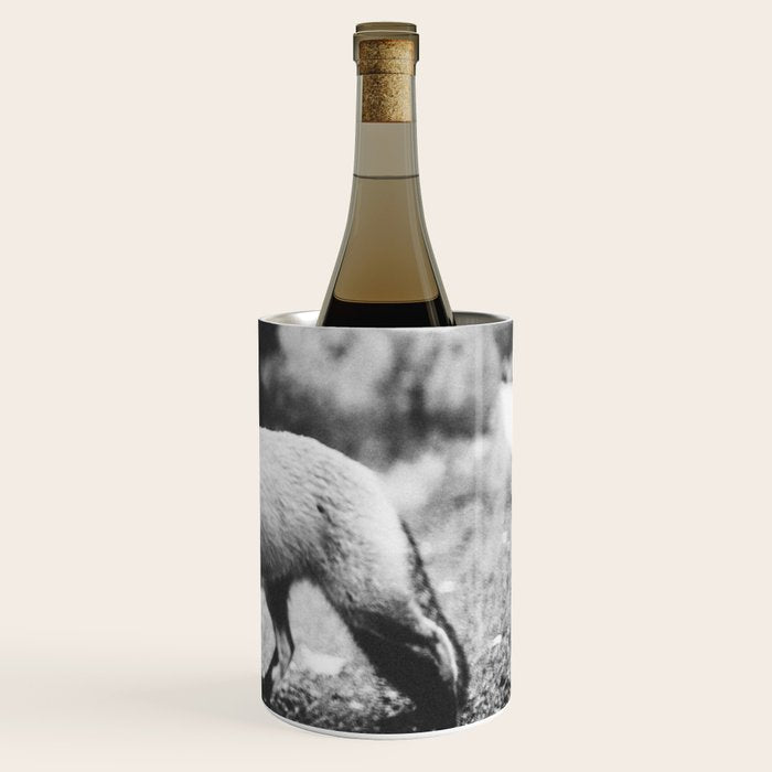 CURIOUS FOX III Wine Chiller Gallery Image 3