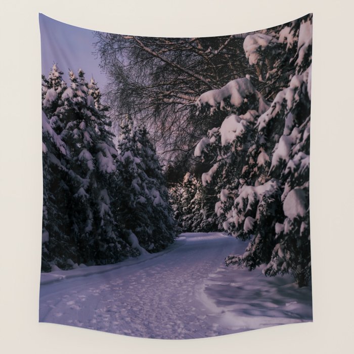 Snowy Path Wall Tapestry Gallery Image 1