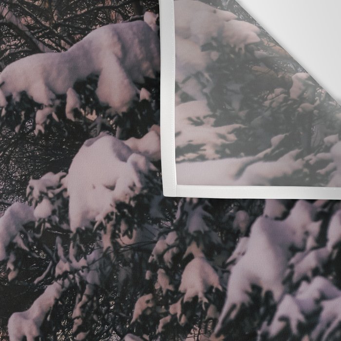 Snowy Path Wall Tapestry Gallery Image 3