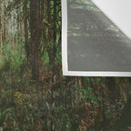 Happy Trails IV Wall Tapestry Gallery Image 3