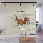 Anatomy of a Squirrel Wall Mural Gallery Image 1