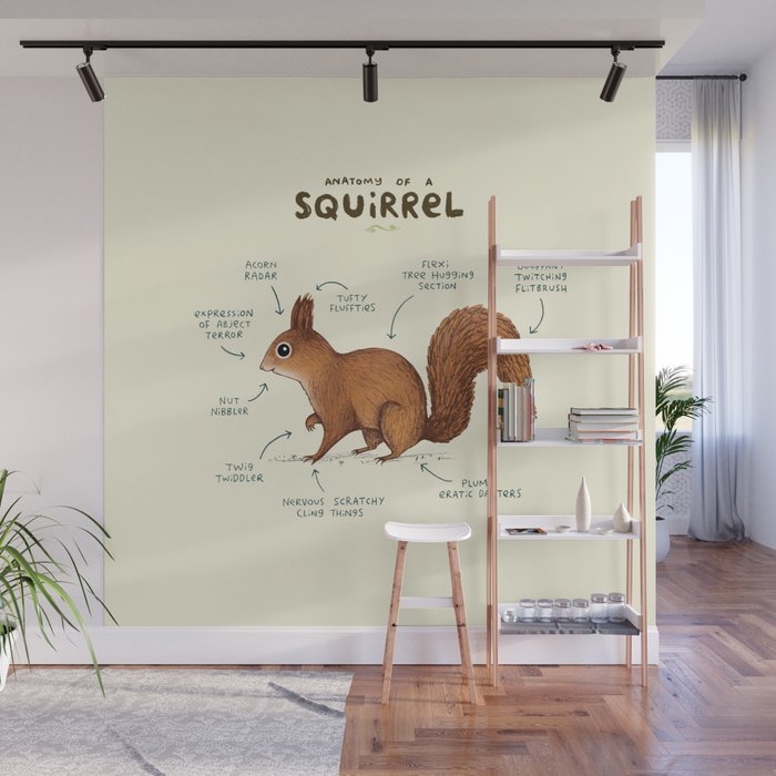 Anatomy of a Squirrel Wall Mural Gallery Image 1