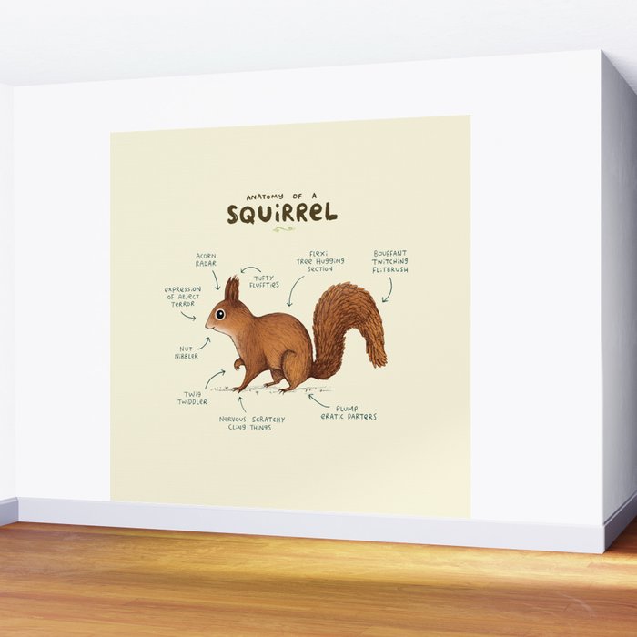 Anatomy of a Squirrel Wall Mural Gallery Image 2