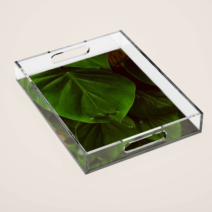 Collaboration Acrylic Tray Gallery Image 1