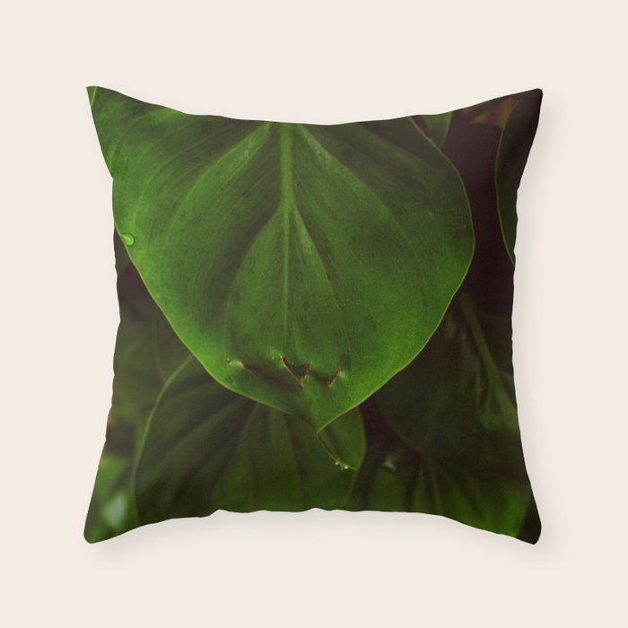 Collaboration Throw Pillow Gallery Image 1