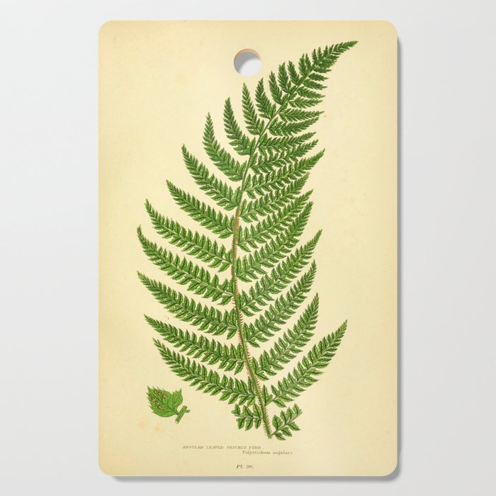 Fern by Anne Pratt, 1800s (benefitting The Nature Conservancy) Cutting Board Gallery Image 1