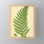 Fern by Anne Pratt, 1800s (benefitting The Nature Conservancy) Mini Art Print Gallery Image 1