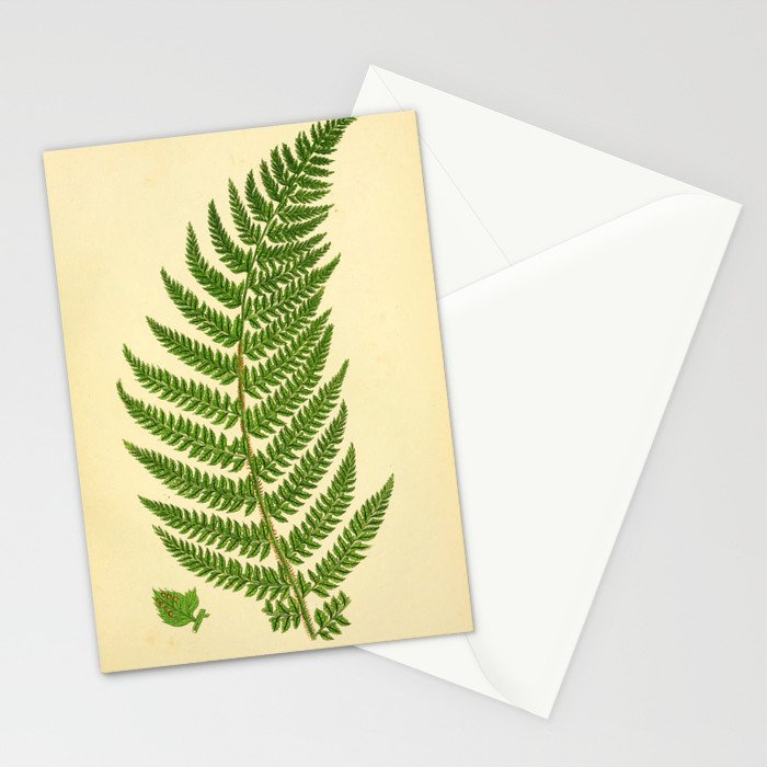Fern by Anne Pratt, 1800s (benefitting The Nature Conservancy) Stationery Card Gallery Image 2
